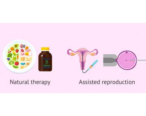 国内哪里有供卵,大连比较好的试管婴儿医院成功率有多高