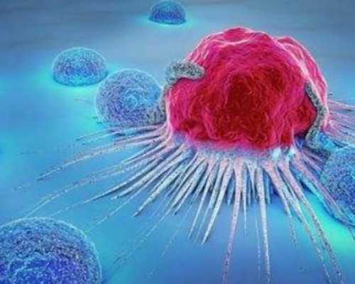 国内做供卵试管婴儿的公司,地贫夫妻可以通过三代试管婴儿PGD技术生出健康宝宝吗？完全不在话下