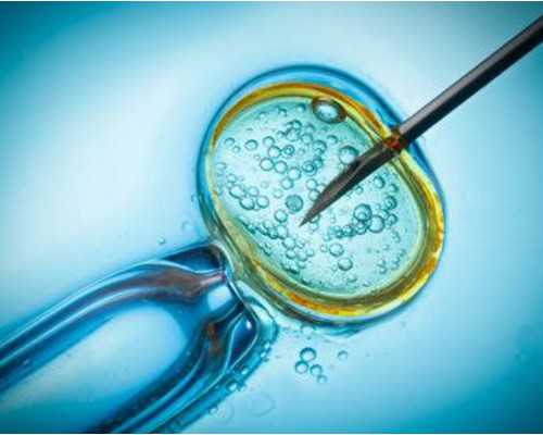 国内供卵代生机构有哪些,试管婴儿移植后能自由活动吗，这些护理建议大家需要知道