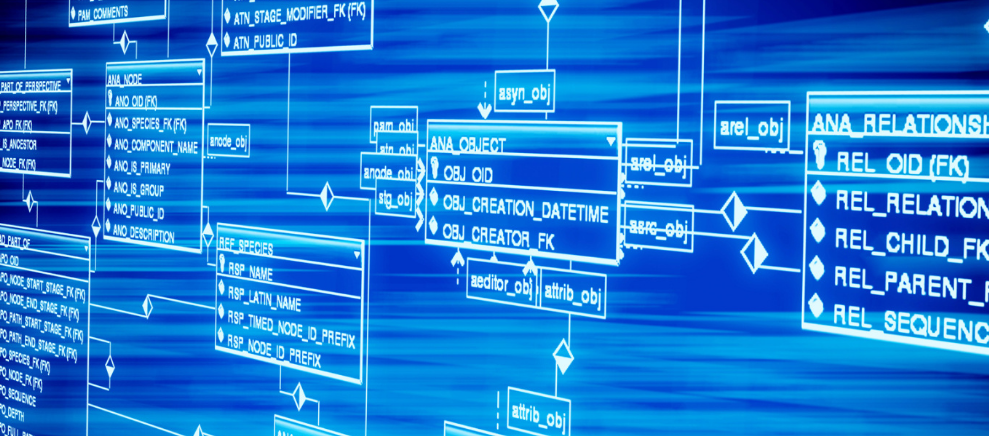 北京宝贝家机构